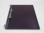 OEM A1989 A2159 A2289 A2251 LCD Display Macbook Pro 13 2018 2019 2020 Space Gray